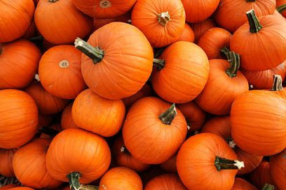 Are you a pumpkin eater?
